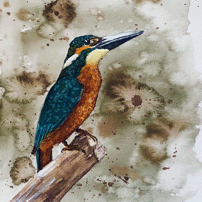 king fisher . water colour on paper